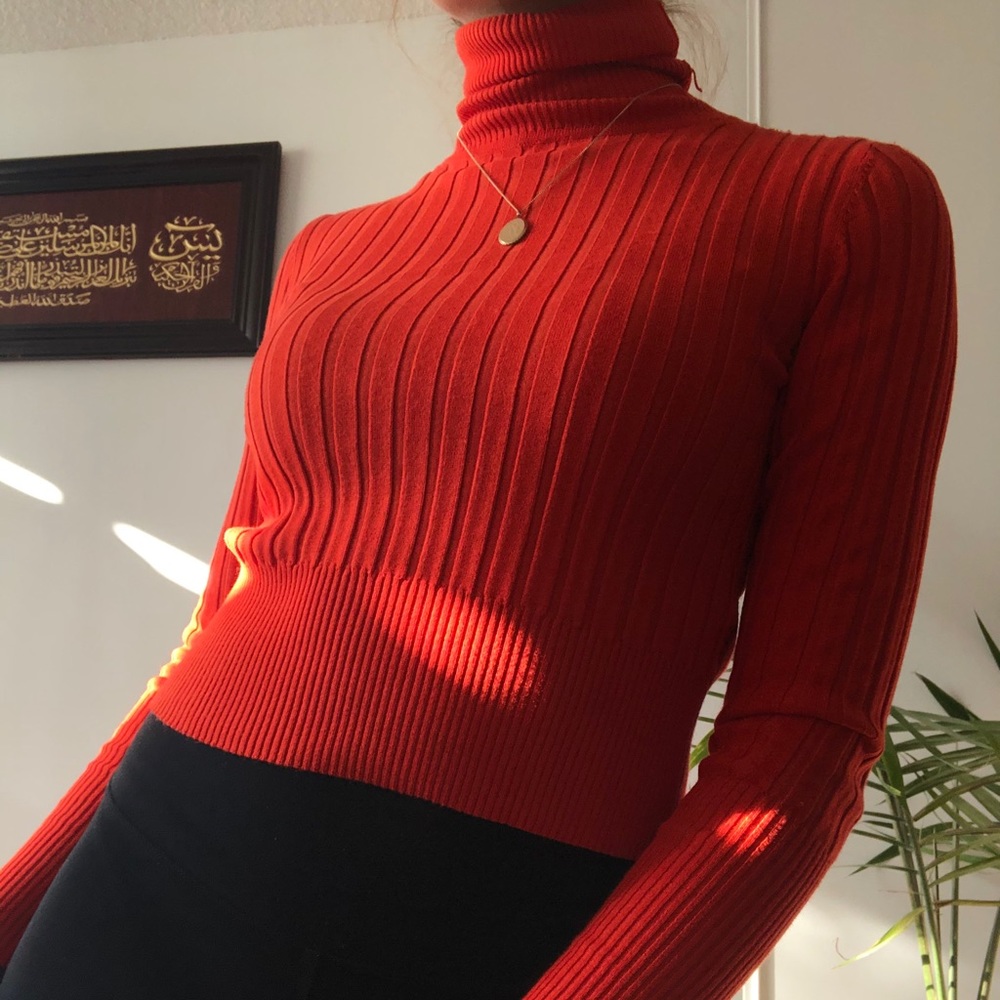 ZARA FITTED TURTLE NECK - Picture 1 of 1